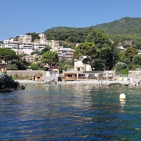 Charmant Studio Climatise Avec Parking, Au Coeur De Pietranera, Plage A 500M, Bastia A 2Km Ville-di-Pietrabugno Екстер'єр фото